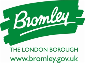 Bromley and reflective practice