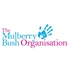Mulberry Bush School share good practice