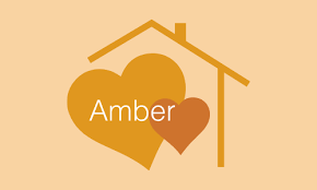 Amber Family